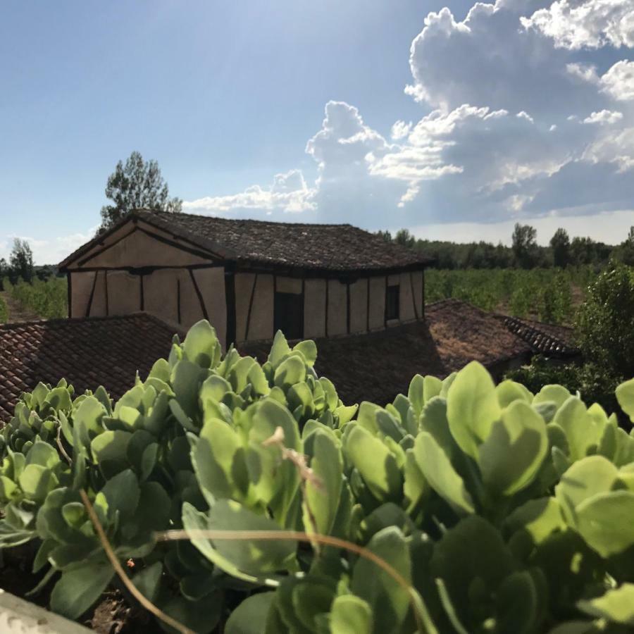 Molino De Villacelama Экстерьер фото